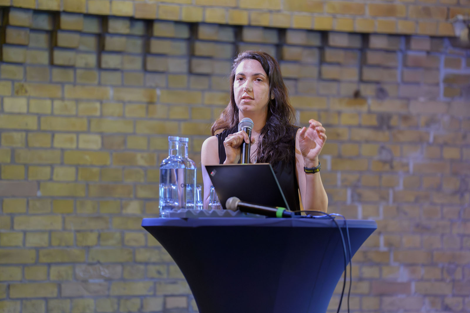 Dr. Daniela Krüger während ihres Vortrags.